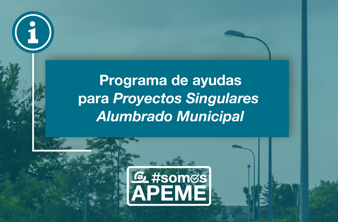 Programa de ayudas para proyectos singulares de renovación de ...